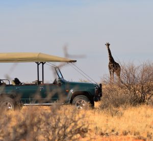 Nairobi National Park Tours and excursions